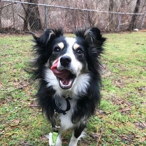 Meet your Posher, Mary